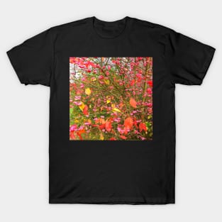 Red leaves T-Shirt